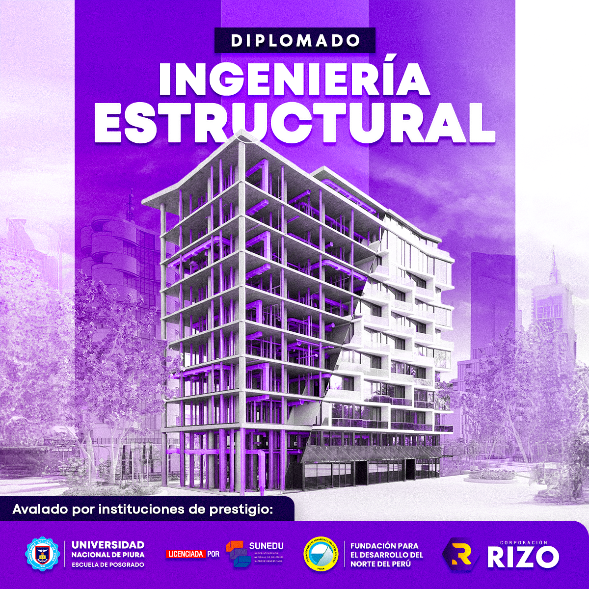 INGENIERÍA ESTRUCTURAL